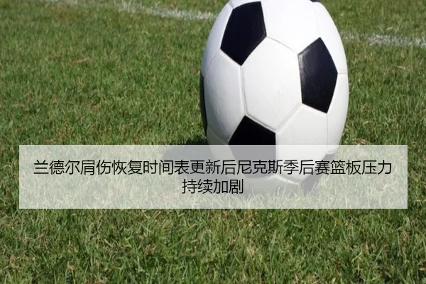 兰德尔肩伤恢复时间表更新后尼克斯季后赛篮板压力持续加剧